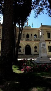 13K views · 247 reactions | #LALÍNEA | 慄‍♀ La 'meiga' de La Línea...