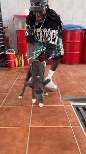 Happy new year to all human beings, animals and things God create. I love you all #pa2pa #newyear #viral #fyp #vibes | Patapaa Gh