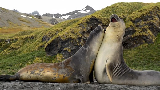 ⚡ 真·OLED极致画质！16K杜比视界震撼来袭 🌌 16K HDR超清体验｜真正的OLED视觉盛宴 🔥 只此一版！最真实OLED杜比视界16K HDR