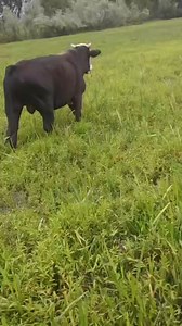 Sold out address krashbal noor bagh sgr | Umer Rather