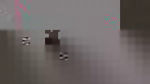 4.9K views · 198 reactions | YOUTUBE GIVEAWAY! ...