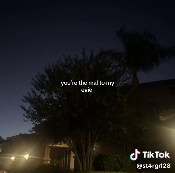 You’re the Mal to My Evie: Disney Descendants Love