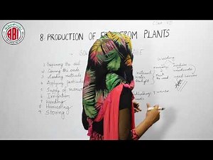 8th Class_Biology_Chapter 08_Part 03_"Production of Food From Plants"