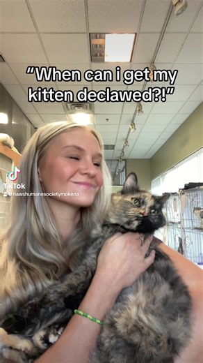 455K views · 2.9K reactions | Some of the crazy things we hear while working in animal rescue. Spay/Neuter your cats! Be open to every breed! Don’t declaw! 懶 | NAWS Humane Society of Illinois | Facebook