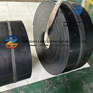 [Hot Item] Steel Cord/Fabric Cord Bucket Elevator Conveyor Belt with Hole