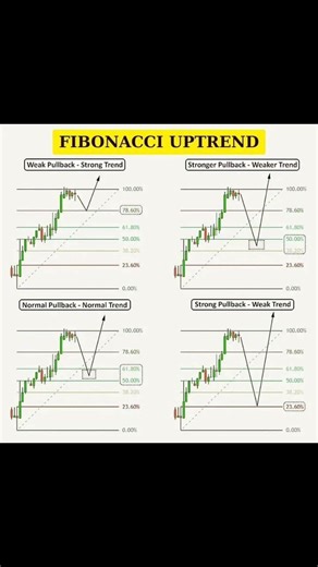 Fibonacci Pullbacks Every Trader Should Know