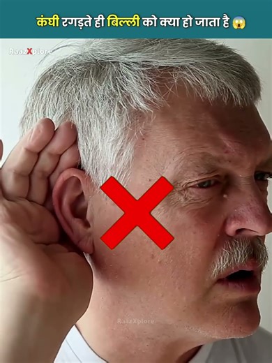 कंघी देखते ही बिल्ली को क्यों आती है उल्टी? | Cat Comb Mystery Explained | RaazXplore #ytshorts