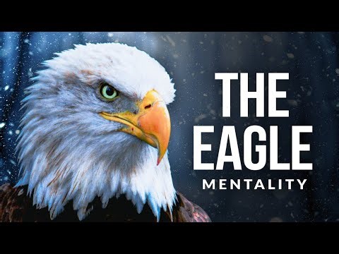 The Power of Eagle Mentality | EAGLE MINDSET – Rise Above the Storm | Bright path Motivation