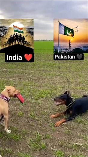 ❤️india😡 vs 🤬pakistan🖤 #contentcreators #entertainment