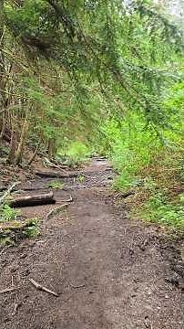 1 minute Shi Shi Beach Trail nature hike - Clallam Bay, Washington 2