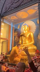 Shakyamuni Buddha The ancient Sanskrit word 'Buddha' means 'having become awoken ' in the sense of having attained 'supreme awareness'. It is closely related to the term 'Bodhi' which refers to awareness. The serene & sublime image of Gautama embodies a condition of compassionate understanding, of an awoken illuminated mind. This is a stark contrast to many Western ideas of outward pride, muscular vigor & displays of material wealth. Gautama Shakyamuni was born c.563 BCE in Lumbini which is toda