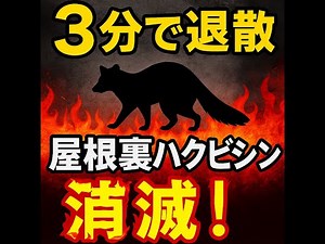 【3分で退散】屋根裏ハクビシン消滅！超強力【撃退音×超音波】