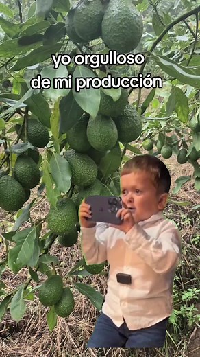 Aguacate Meme Creation with CapCut