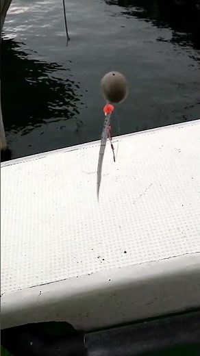 加太のタイ釣り、自作の仕掛けを紹介します