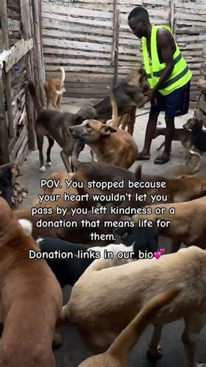 Help me continue my mission ❤️ Every donation matters! Donate via PayPal 🔗 in my bio 🙏 #fyp