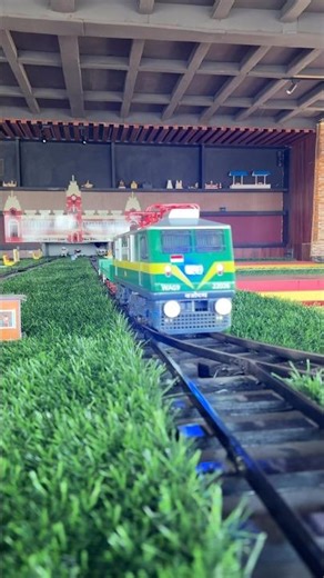 Food Serving Train in India | Train Theme Restaurant Setup | Model Train Restaurant #shorts