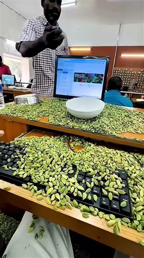 The Cardamom Code: A Unique Office Ritual
