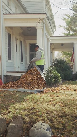 17 reactions | Fall clean ups? Bring it on. #northwestlawnandlandscape #propertycare #landscapedesign #landscapeprofessionals #fallcleanup #fyp #trending #propertycaretaker #nyfallcleanup | Northwest Lawn & Landscape Maintenance | Facebook