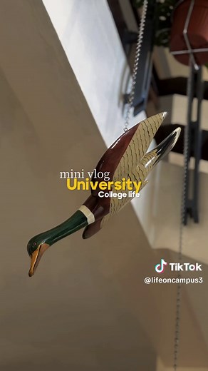 A Day in Strathmore University Life