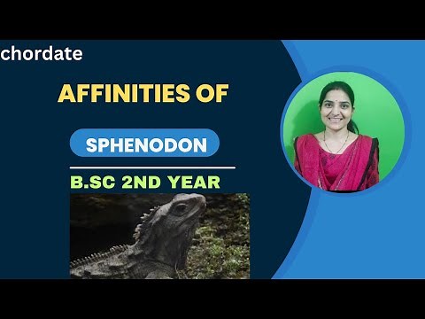 Affinities Of Sphenodon B.Sc 2nd year||Sphenodon punctatus#sphenodon living fossils#tuatara