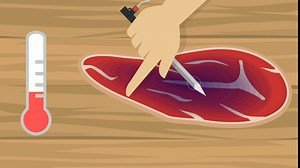 CookPerfect Smart Wireless Meat Thermometer with 400ft Bluetooth Range for The Oven Grill Kitchen BBQ Smoker Rotisserie with Bluetooth and WiFi Digital Connectivity (1 Probe Included)