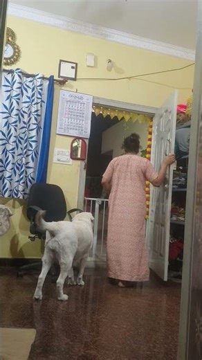 #funny #whowillbemylifepartnerta #lifeisbutadream