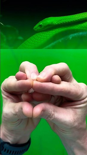 The classic “hand snake”