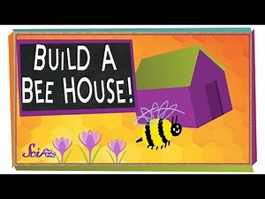 Build a Beehouse! | Science Project for Kids