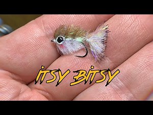 Fly Tying: A micro articulated streamer the Itsy Bitsy!