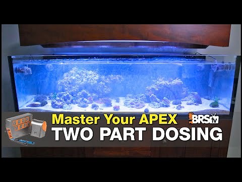 How to Make Reef Tank 2-Part Dosing Smarter, Safer and More Reliable. | Neptune Apex Setup Guide