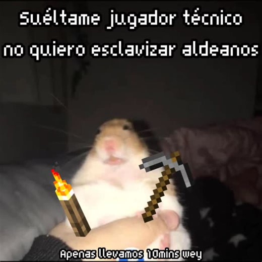 Hally on Instagram: "Jugador nuevo es traicionado y encerrado por 1000 años recolectando madera para tradear #Minecraft #minecraftsurvival #minecraftsmp #minecraftbuilding #minecraftmemes #humor #Meme #minecrafttecnico"