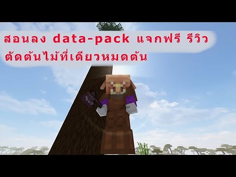 มายคราฟสอนลง Data-pack/Mod ตัดต้นไม้ทีเดียวหมดต้น มายคราฟ 1.20 | Minecraft TreeCapitator 1.20