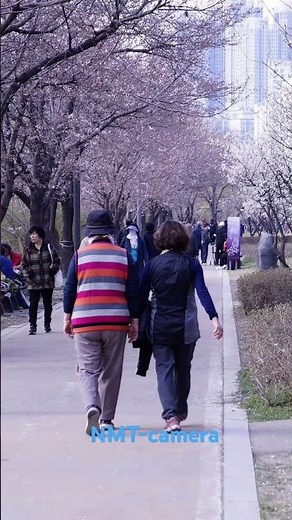 sony nex 3N kit 1855