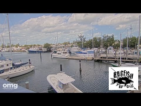 [LIVE] Hogfish Bar & Grill - Safe Harbor Cam