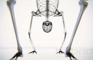 Wow! Yoga Body Moves in X-Ray Video. | elephant journal