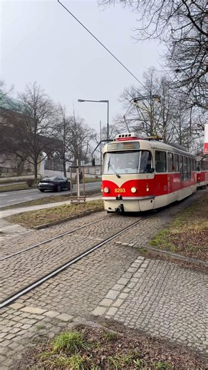 Tramvaj u Královského letohrádku 🚋