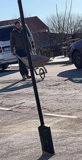 Man Pushing Wheelbarrow with Logs in Outdoor Setting