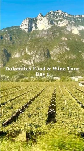 Dolomites Food and Wine Tour - Day 1 #shorts