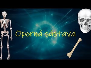 Biológia 7. ročník _ Oporná sústava človeka - kosti (celé video nájdete na HEROHERO)