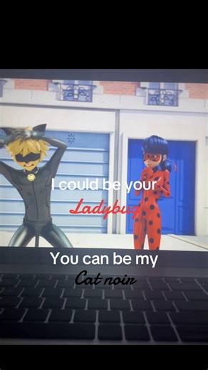 Ladybug and Cat Noir Adventures in Paris