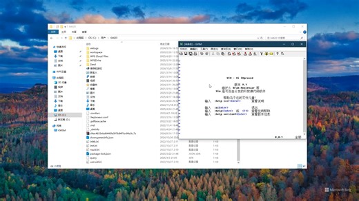 如何通过代码补全的方式在Windows系统下插入Gvim的配置参数