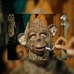 Theatre Masks (1956) #britishpathe #theatrezoo #theatrezoolondon #pathé #pathecinema #dykerichens #ericgledhill #rubbermasks #halloweenmasks #vintagehalloween #vintagehalloweenmask #theatermasks #50shalloween | Night Flight