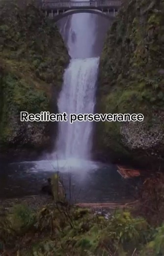 Resilient perseverance (Proverbs‬ ‭24‬:‭16) #bibleversesfortoday