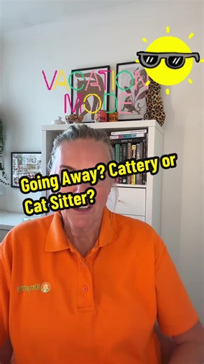Cattery vs. Cat Sitter: Which is Best for Your Cat?