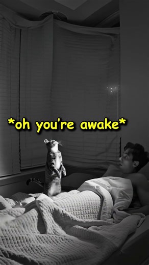 Kevin wants a belly rub...