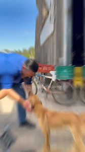 388K views · 14K reactions | Capítulo 40 segunda temporada da série BARES PELO MUNDO, review do BAR DO CACAU, pet friendly e cachaça com abacaxi!!! #comedia #humorbrasil #bares #review | Chico O Vendedor Raiz | Facebook