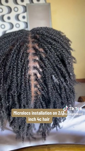 Heres a more deep dive to what microlocs is all about and why you should coanider it for tour loc journey #microlocs #locjourney #microtwists #microtwistloc #nairobihairstylist
