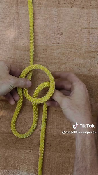 Slip Knot Tutorial: Easy Guide for Arborists