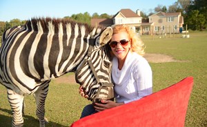 Our Wild Life TLC: Where Do They Live? What Animals Do They Own?