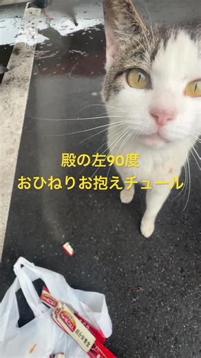 TikTokでRuby Eatonさんをチェック！